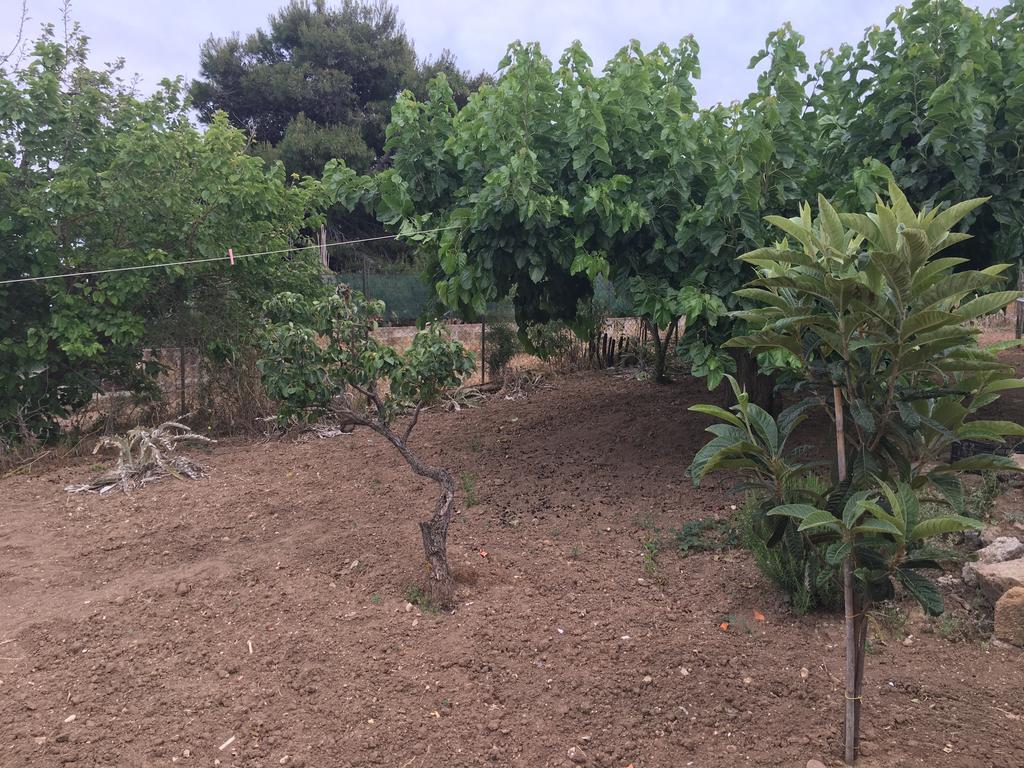 مبيت وإفطار ريالمونتي La Bianca Scogliera المظهر الخارجي الصورة